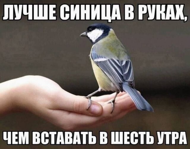 Скрины из соцсетей
