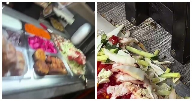 Тараканы лакомятся начинкой для шаурмы