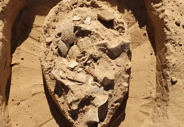 Археологи нашли в израильской пустыне запас страусиных яиц, которым 7000 лет
