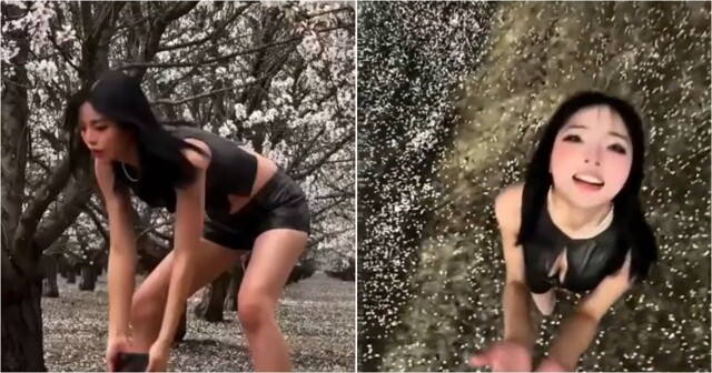 На что только не пойдёшь, ради красивых кадров
