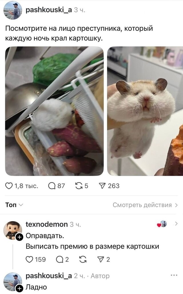 Большая тарелка улыбатора