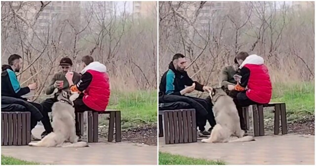 Локи нашёл себе мужскую компания
