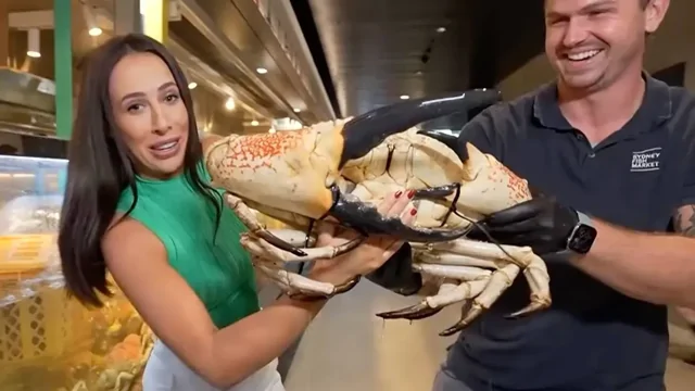 Краб атаковал журналистку в эфире — её «месть» удивила зрителей