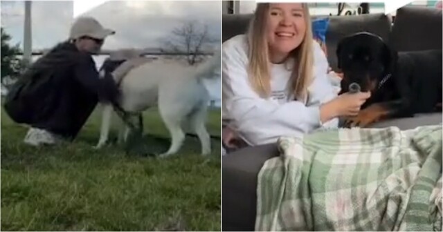 Девушка ушла из IT и стала собачьей няней