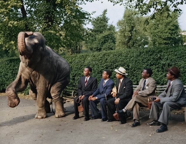 Подборка фотографий из прошлого, которые заставляют удивиться