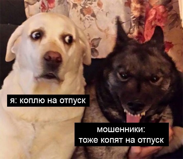 Мошенники позарились на святое: теперь и отпуск под угрозой⁠