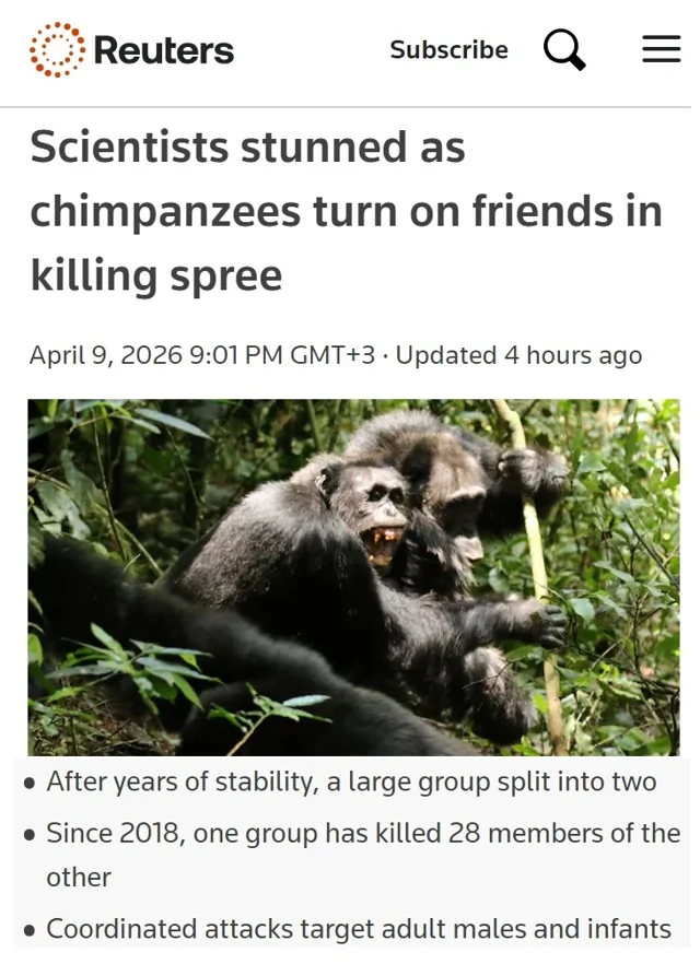 Ученые в шоке: в Уганде вспыхнула братоубийственная война среди шимпанзе