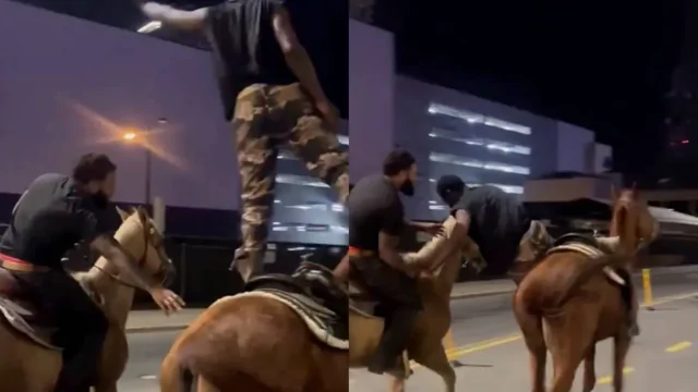 Лошадь сбежала после падения всадника и попала в ДТП