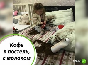 Что где когда приколы видео. Смотреть фото Что где когда приколы видео. Смотреть картинку Что где когда приколы видео. Картинка про Что где когда приколы видео. Фото Что где когда приколы видео