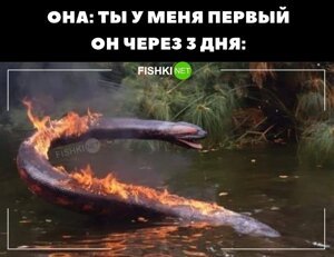 Кто-то ещё верит в  подобное?