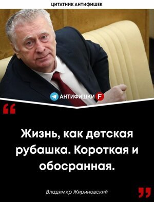 Лучшая цитата 