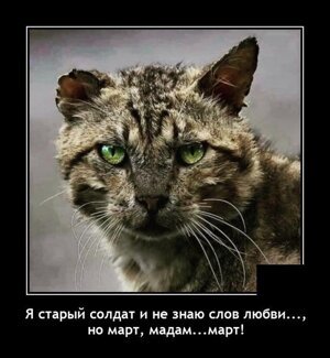 Смотрите также