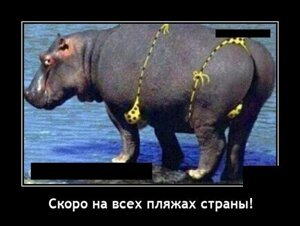 Смотрите также