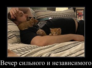 Вечер сильного и независимого