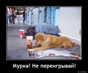 Мурка! Не переигрывай!