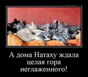 А дома Натаху ждала целая гора неглаженного!