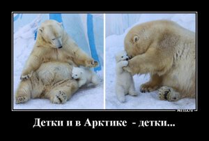 демотиваторы что это такое. Смотреть фото демотиваторы что это такое. Смотреть картинку демотиваторы что это такое. Картинка про демотиваторы что это такое. Фото демотиваторы что это такое