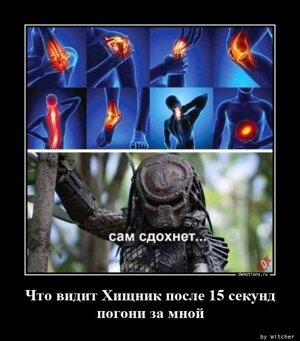 Что видит Хищник после 15 секундной погони за мной