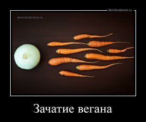 Зачатие вегана