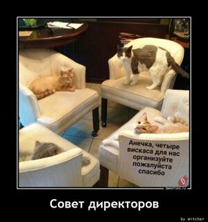 Совет директоров