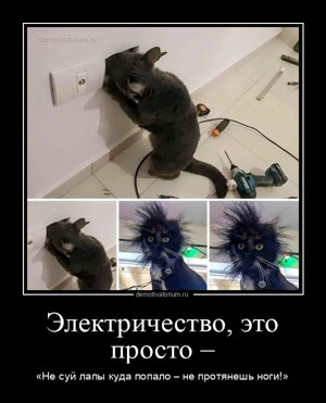 Демотиваторы: соблазн, электричество и котики