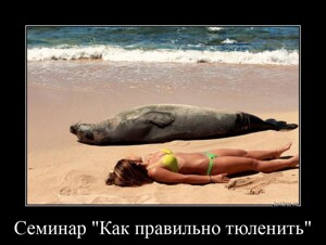 Семинар "Как правильно тюленить"