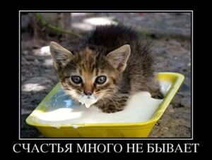 Прикольные демотиваторы и страдающая печень