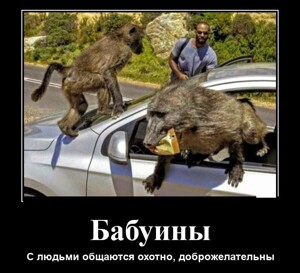Смотрите также