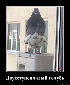 Смотрите также