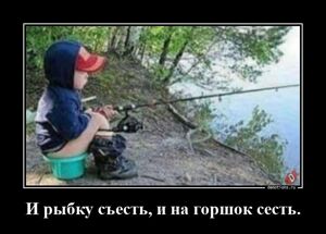 И рыбку съесть, и на горшок сесть.
