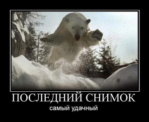 Свежие и прикольные демотиваторы