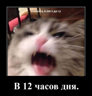 Смотрите также