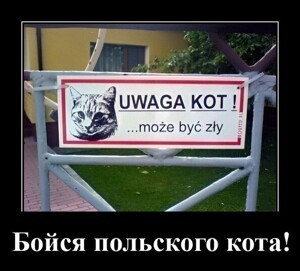 Смотрите также