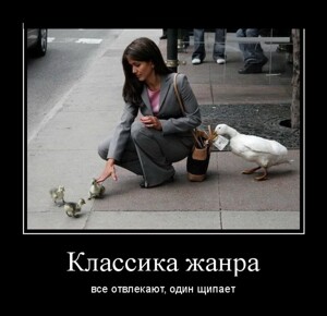 Демотиваторы, которые ударят позитивом