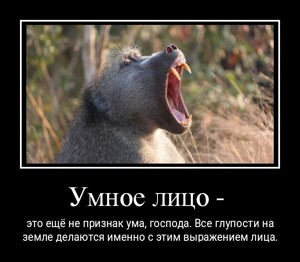 Смотрите также