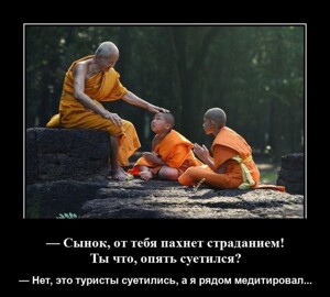 Демотиваторы для отличного настроения