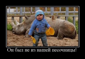 Демотиваторы дня