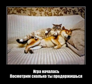 Позитивные демотиваторы на понедельник