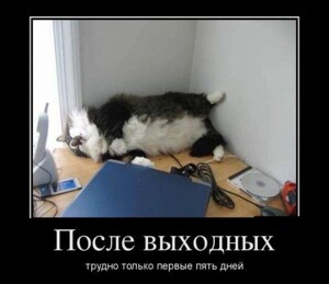 Забавные демотиваторы на понедельник