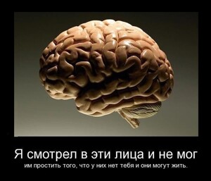 Подборка  демотиваторов 