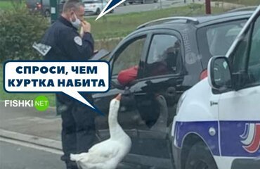 Теперь не отвертится