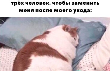 Жизненно 