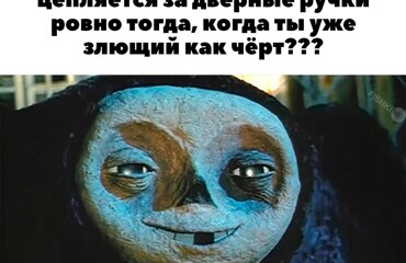 Правда жизни