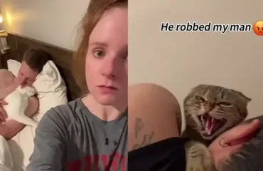 Девушки сняли на видео доказательства, что кошка запросто может увести мужчину