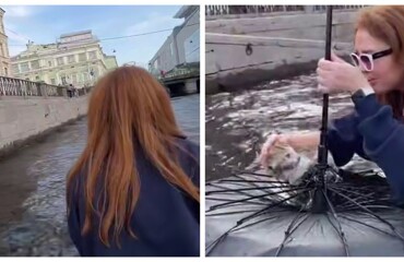 Операция «Раскрытый зонтик» по спасению котёнка развернулась в Крюковом канале
