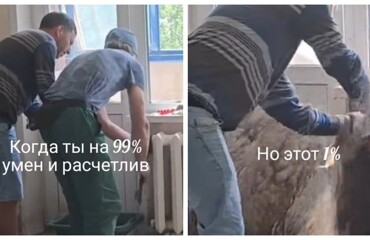Хорошо, что тазик поставили