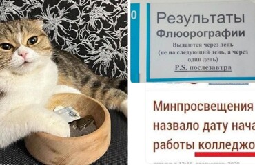 Мероприятель и клюкало: и опять каламбуры и лингвошутки