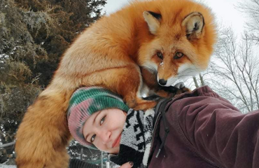 5 причин не заводить лису: дыры в полу, руки в крови, вонища адская!