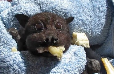 30 поводов начать неделю с позитива