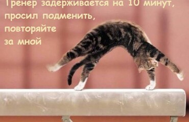 Веселые шутки-картинки